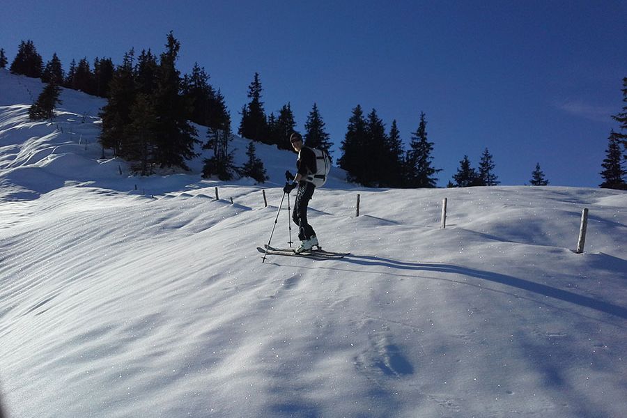 Skitouren gehen (ganzer Tag)